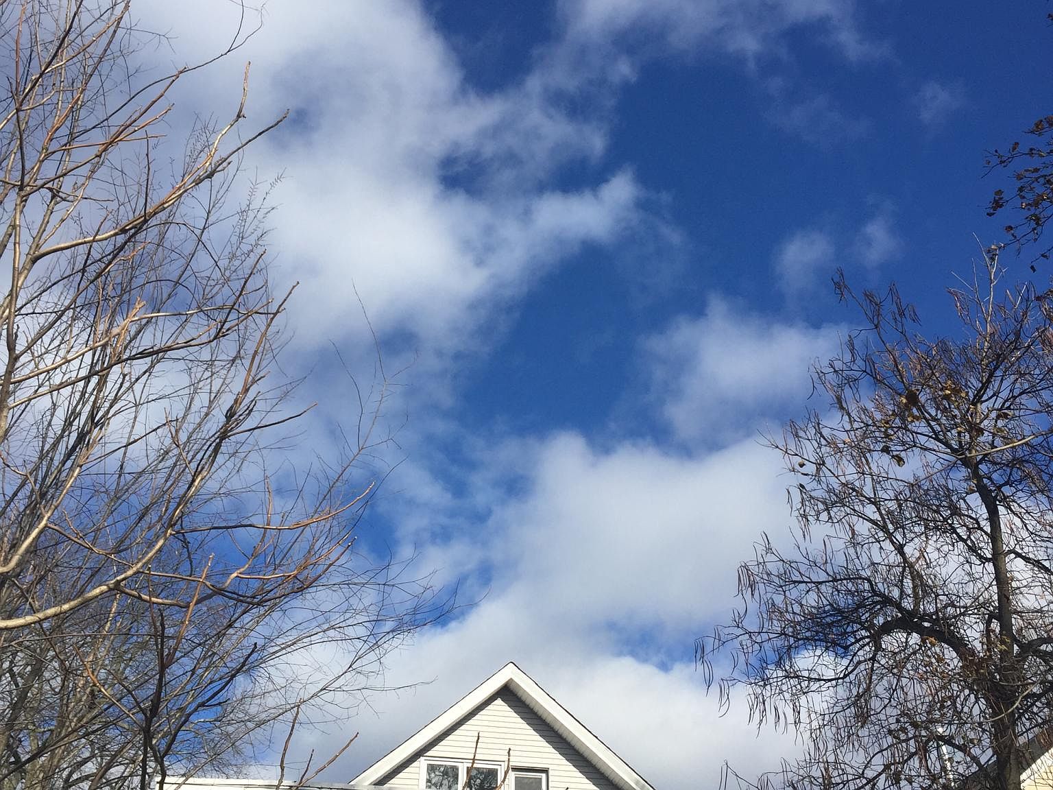 10 Gilbert Ave, New Haven, CT 06511 Zillow