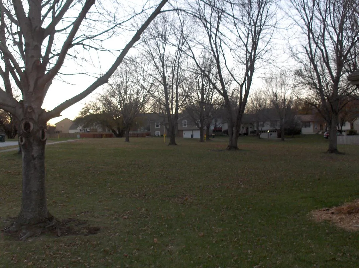 4 bed, 1590 sqft, $2,500 — Photo 2