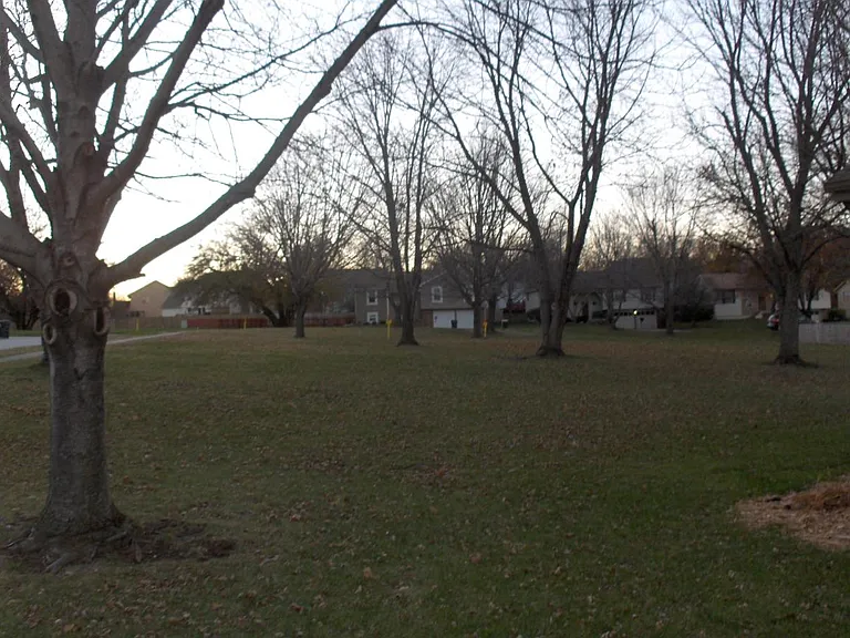 Side Yard