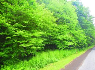 New Rd, Laurens, NY 13796