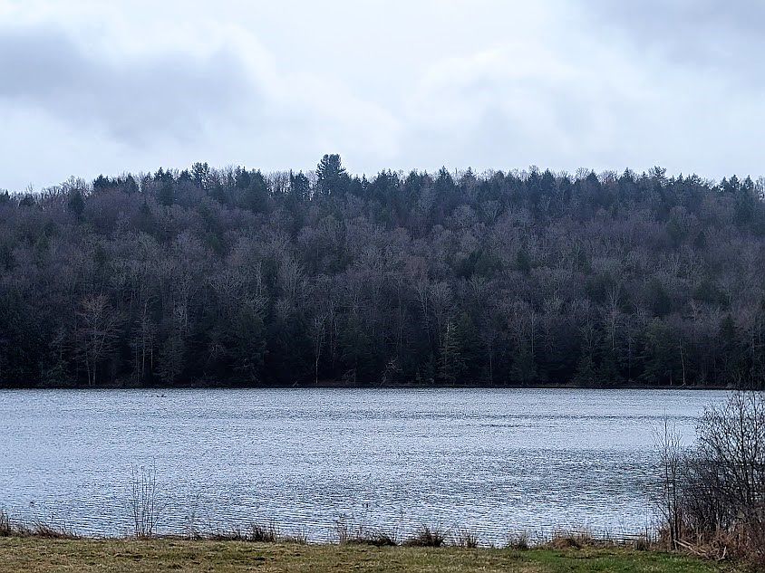 2nd image of 1126 Driftwood Dr