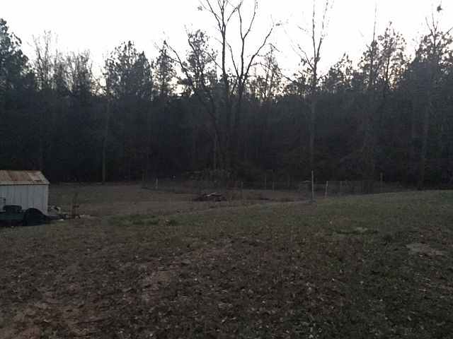 backyard view