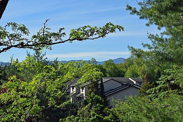 Main View
