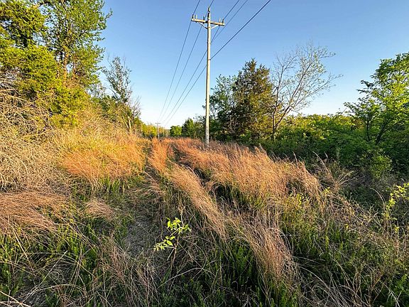 4th image of Conifer Rd