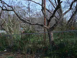 5th image of 207 North St