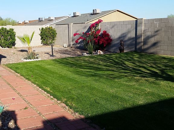 Backyard Sideview 