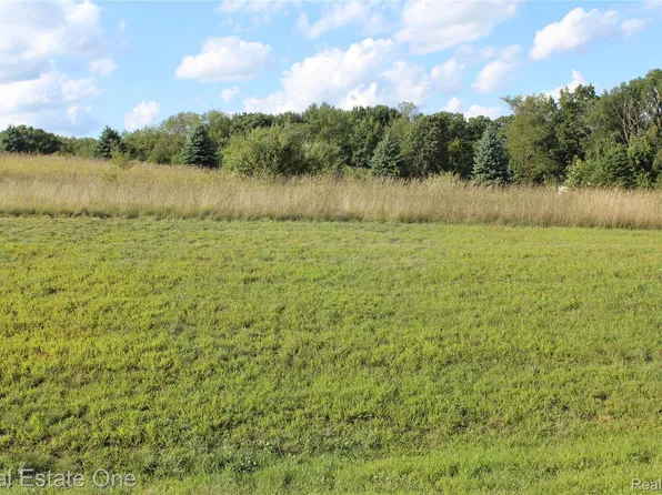 9500 Iosco Ridge Dr, Gregory, MI 48137