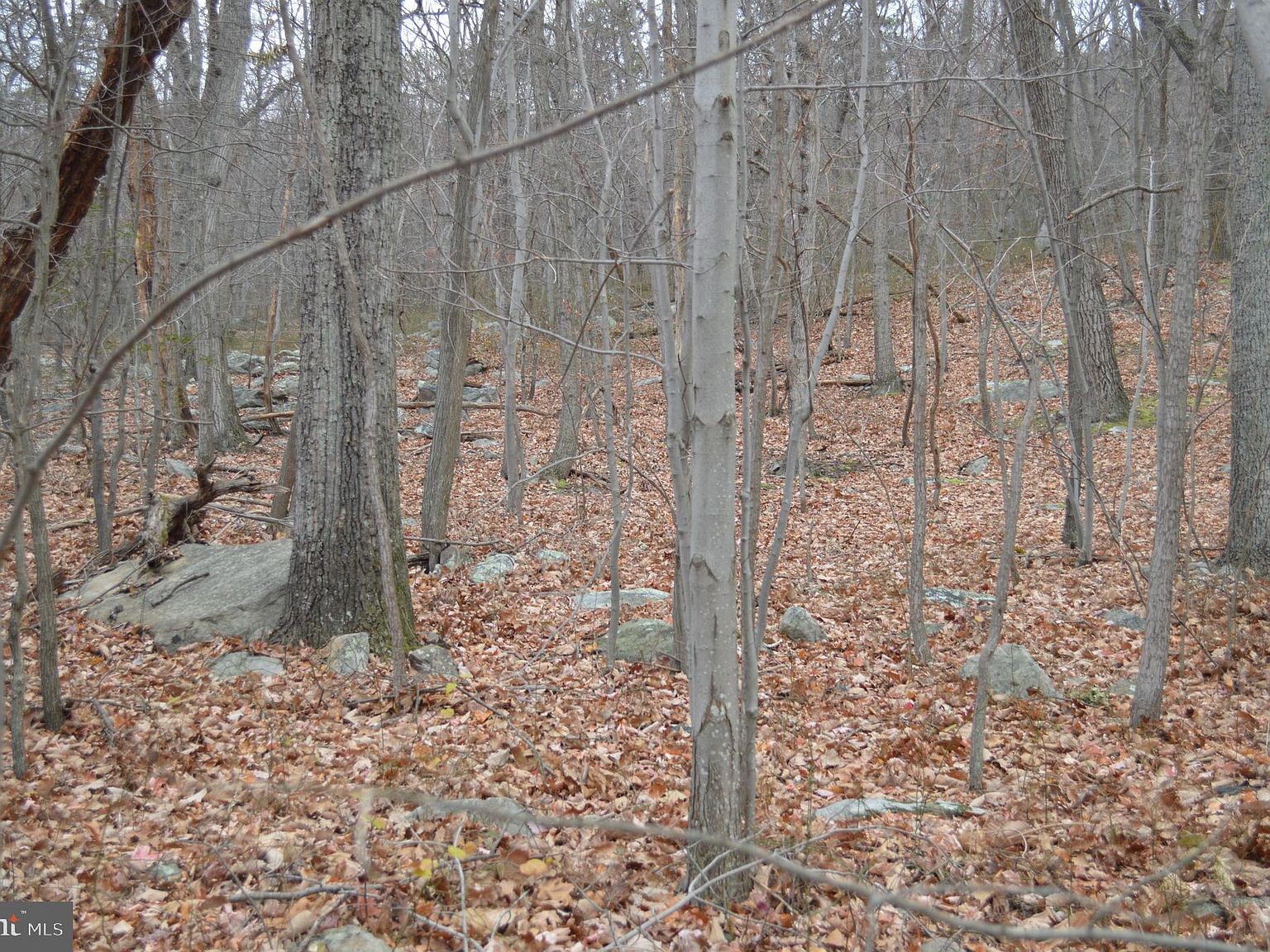 118 Arum Trl, Star Tannery, VA 22654 Zillow