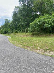 131 Deepwood Dr, Murray, KY, 42071