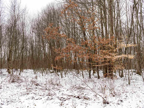 1 Shady Grove Rd, Bruceton Mills, WV 26525