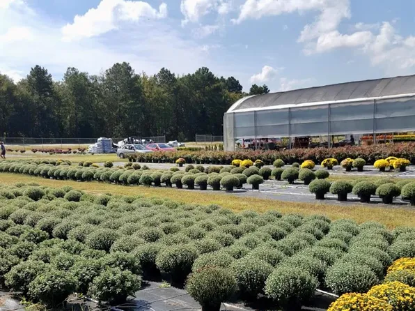 32544 Highway 9, Pageland, SC 29728