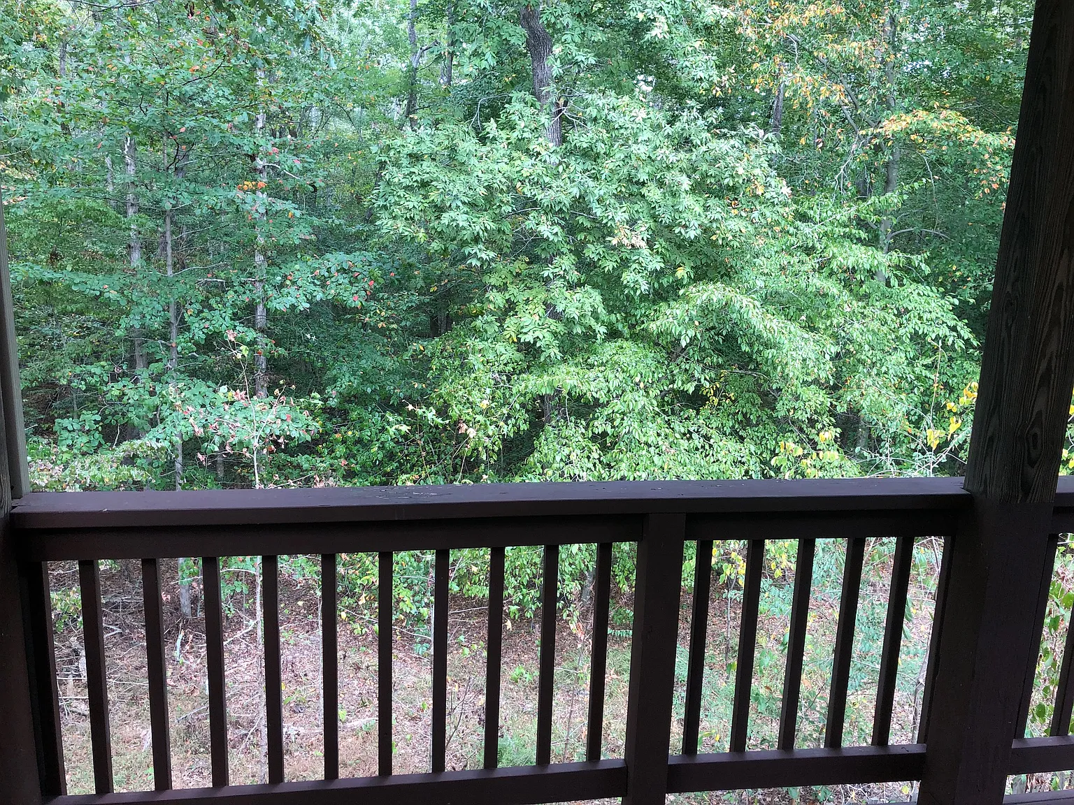 4 bed, 2.5 bath, 2389 sqft, $2,700 — Photo 2