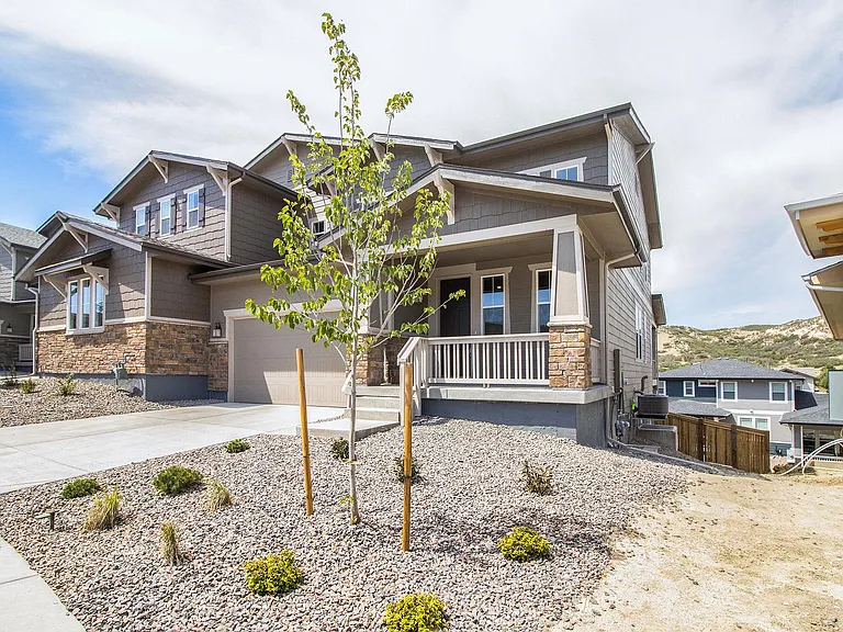 Front yard (zero maintenance)