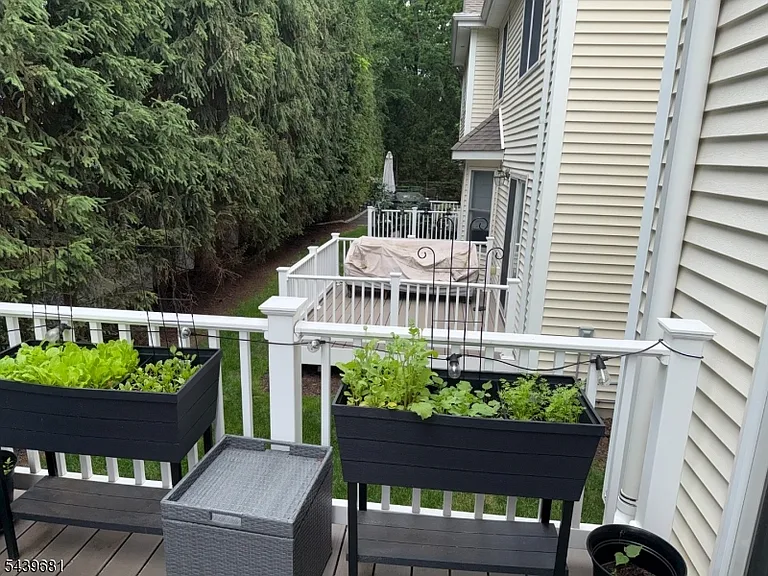 44C E Prospect St #3 — Photo 14