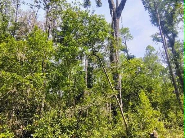  NE 386th Ave, Old Town, FL 32680