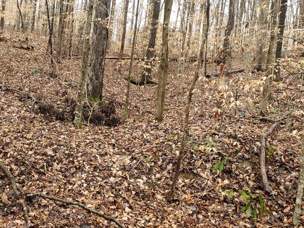 9 Taylors Trce, Albany, KY 42602