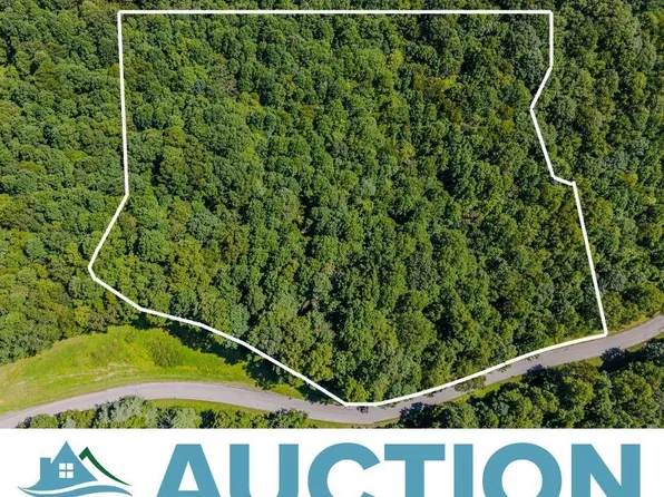 LOT 5 Phadettia Rd SW, Willis, VA 24380