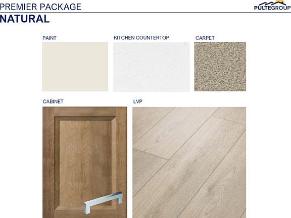 Interior Color Scheme