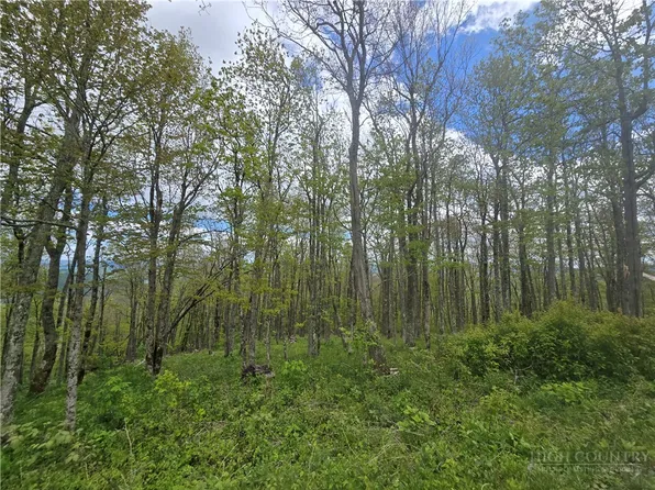 Lot 86 Elk Mountain Parkway, Todd, NC 28684