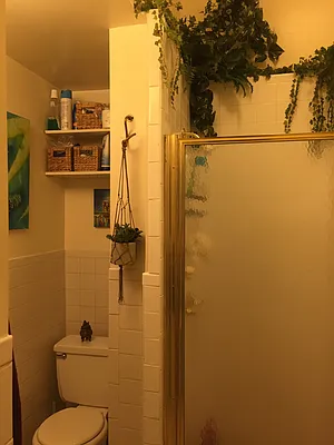 Rented by Harriet Brand, LREB | media 11