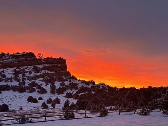 4th image of 50 Bristlecone Rd