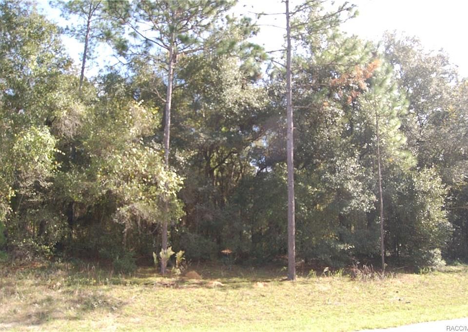 1st image of 9173 N Aruba Dr