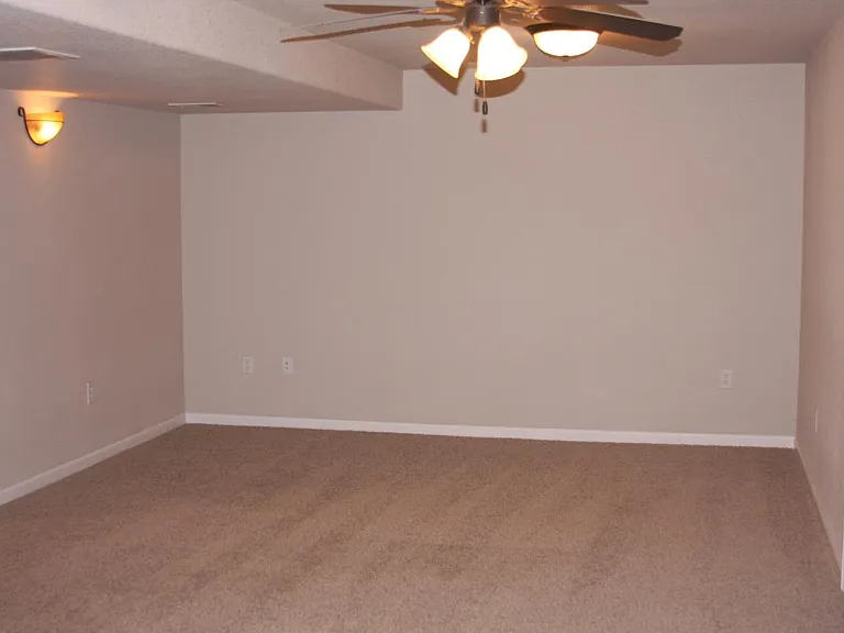 Family Room Downstairs