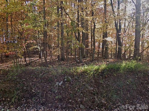 2nd image of 0 Chestnut Ridge Rd