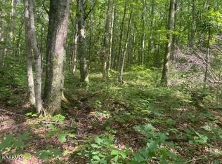 Critter Mountain Way LOT 2, Newport, TN 37821