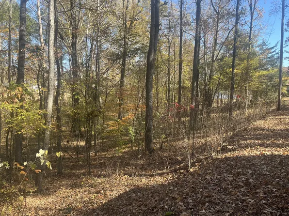 0 Indian Park Dr Lot 171, Parsons, TN 38363