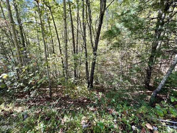 6 Creek Hollow Way Lot 2015, Sevierville, TN 37876