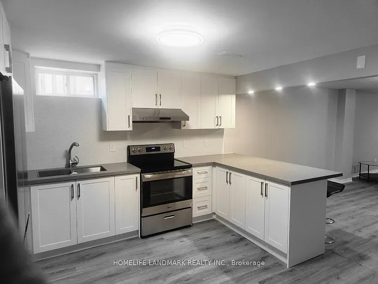 282 Forest Run Blvd #BASEMENT — Photo 9