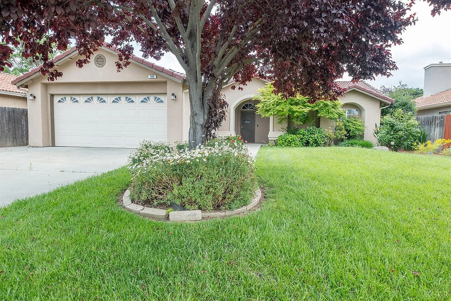 989 Cedarwood St photo 1