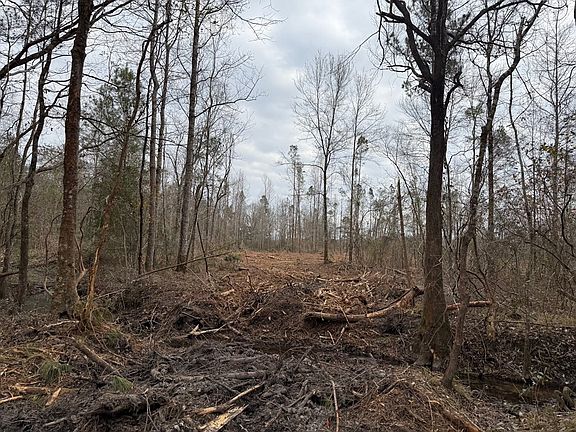 5th image of 0 McNeill Steephollow Rd