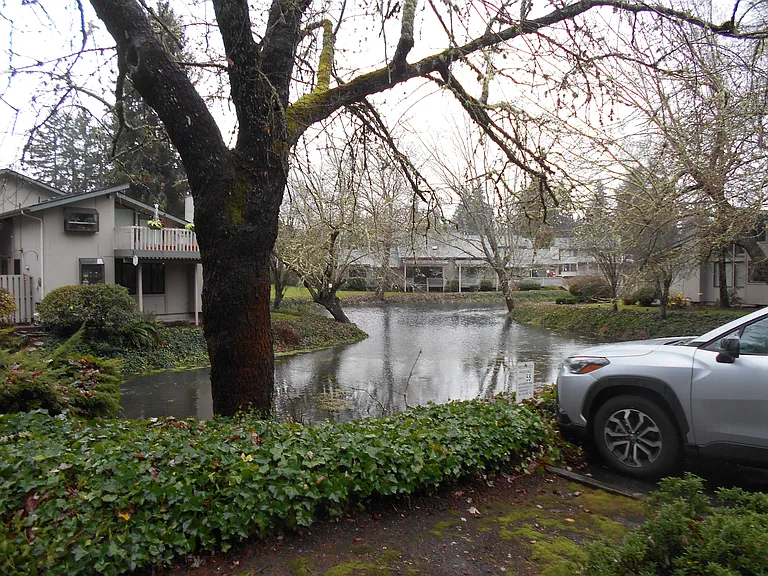 Coffee Creek runs through the development. Beautiful view from your
unit.