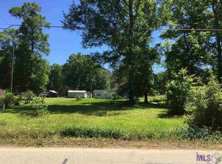 12110 Clanton Dr, Walker, LA 70785