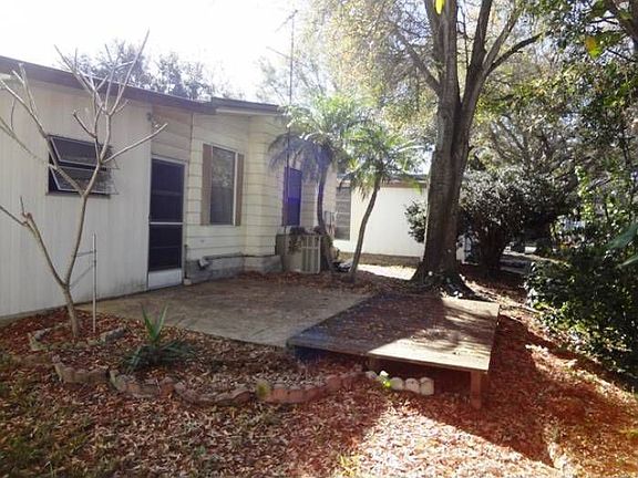 Beautiful tropical back y