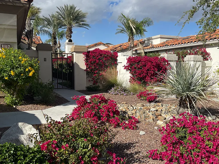 392 Desert Holly Dr — Photo 5
