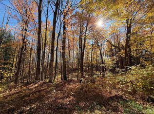 PARCEL 230 Blue Rd, Pelkie, MI 49958