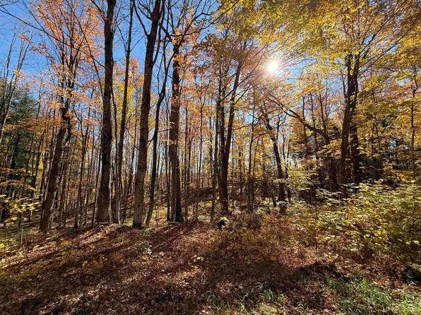 PARCEL 230 Blue Rd, Pelkie, MI 49958