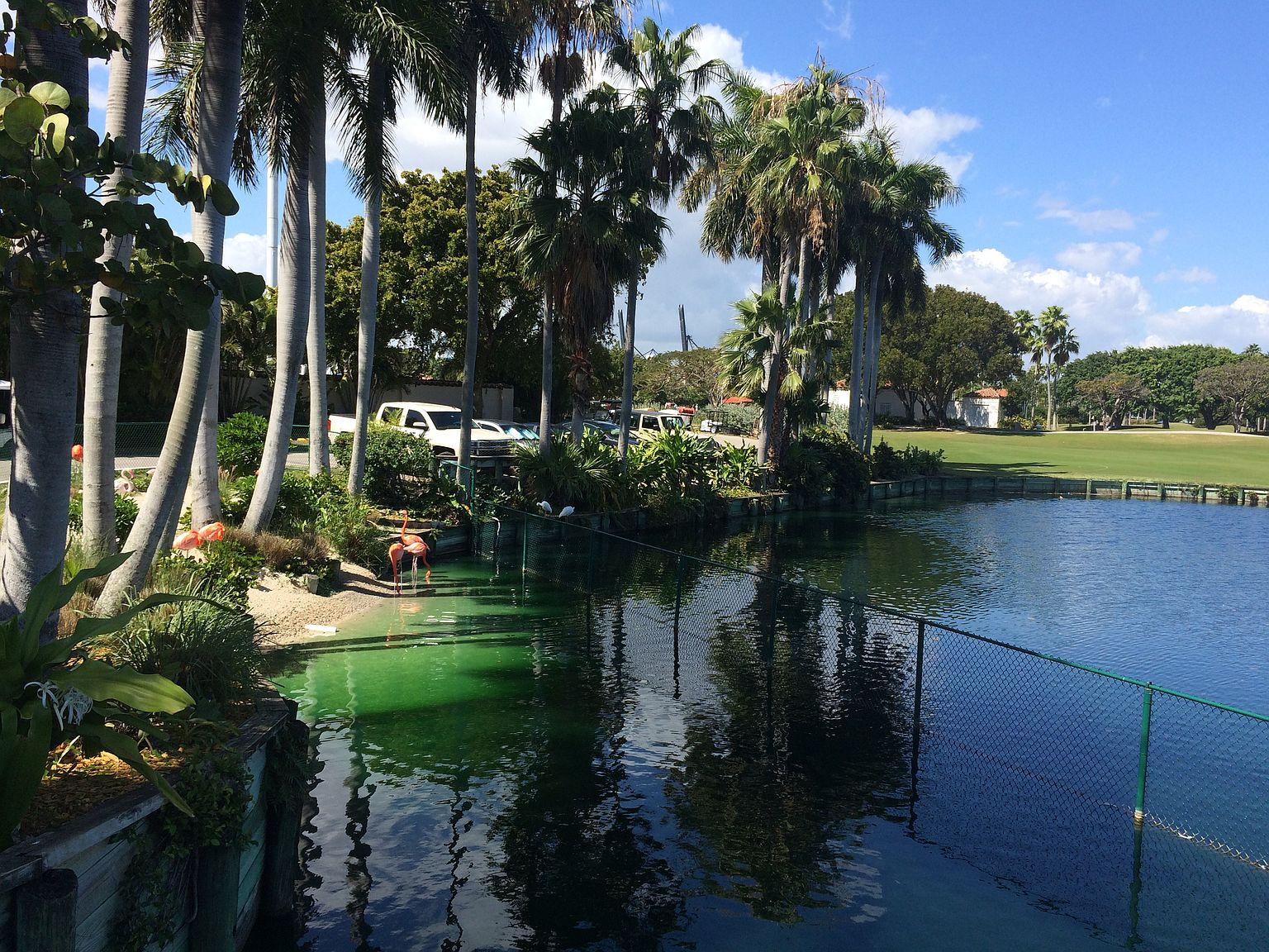 15521 Fisher Island Drive 15521, Fisher Island, FL 33109 Zillow