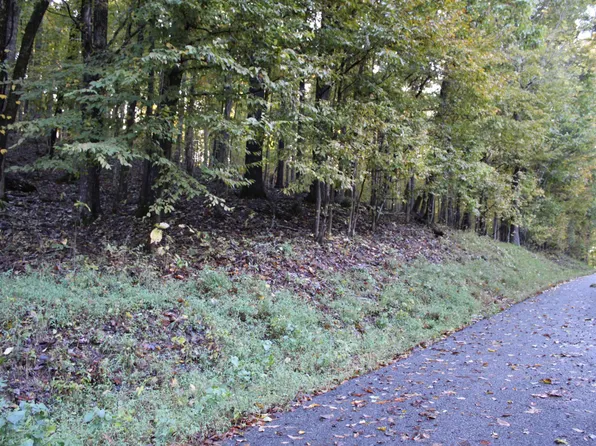 0 Palisades Dr #&-116, Eddyville, KY 42038