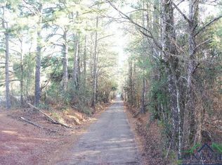 3277 Buie Rd, Diana, TX 75640