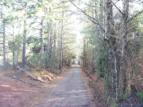 3277 Buie Rd, Diana, TX 75640