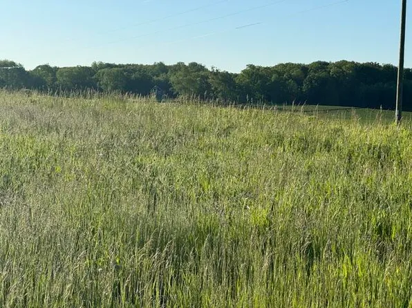 Buchanan Rd Lot C, Stanwood, MI 49346