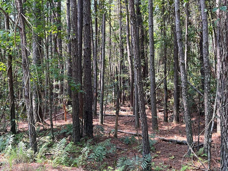2nd image of Round O Rd