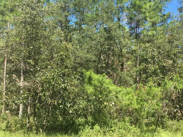 SW 45th Terrace Rd Lot 13, Ocala, FL 34473