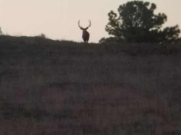 TBD Road W, Dolores, CO 81323