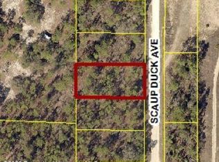 0 Scaup Duck Ave LOT 7, Brooksville, FL 34614