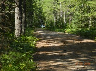 Buildable Lot Straits Of Mackinac Pt Nipigon, Cheboygan, MI 49721